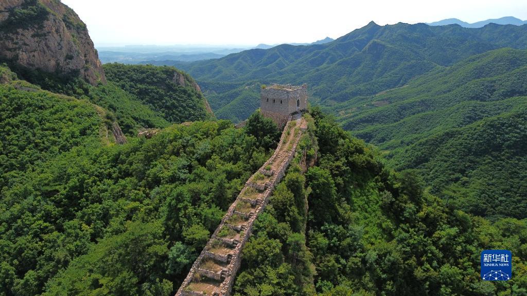 游戏鹰官网是哪个